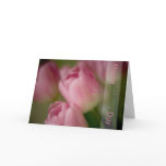 Pink Tulips • Happy Mother's Day Card
