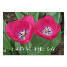 Pink Tulips, Mother's Day Greeting Card