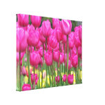 Pink Tulips Wrapped Canvas canvas prints
