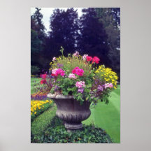 Pink Urn and flowers, Victoria flowers Posters