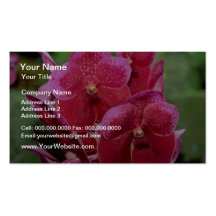 Pink Vanda flowers Business Cards