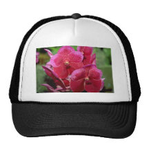 Pink Vanda flowers Mesh Hat