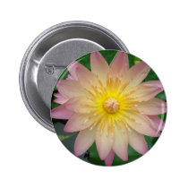 Pink Water Lily buttons