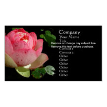Pink Water Lily Business Card