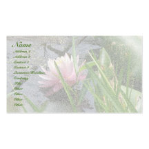 Pink Water Lily Business Card