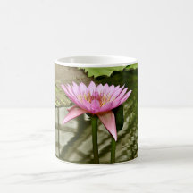 PINK WATER LILY IN A POND COFFEE MUG
