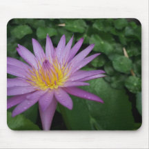 Pink Water Lily Mouse Pad
