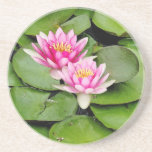 Pink Waterlies & Lilypads Coaster
