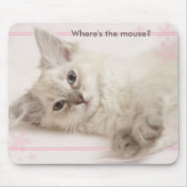 Pink  Where's the mouse?