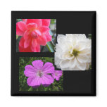 pink, white and purple flowers magnets