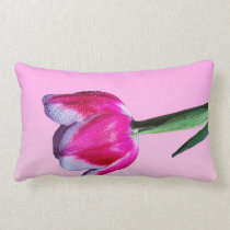 Pink, white and red tulip, on a pillow pillows