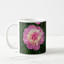 Pink & White Peony Mug