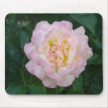 Pink white rose mouse mat