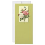 Pink White Vintage Botanical Roses