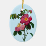 Pink wild roses,Pierre Joseph Redouté Ornaments