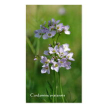 Pink wildflowers Horticultural business card