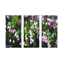 Pink Winter Flora Canvas Prints