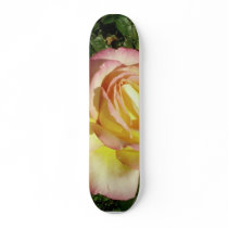 Pink Yellow Rose Close Up Wallpaper Skate Board Decks
