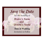 Pink Yellow Striped Orchid Save the Date Postcards