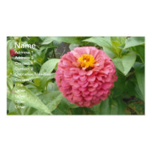 Pink Zinnia Business Card
