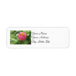 Pink Zinnia Custom Return Address Labels