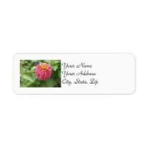 Pink Zinnia Custom Return Address Labels