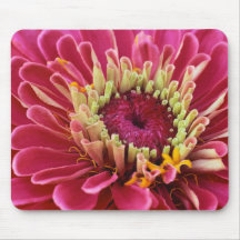 pink zinnia mouse pad