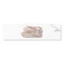 PinkBalletSlippers022111 Bumper Stickers