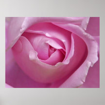 Pinkie Print