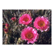 Pinky Flowers Invites