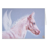 Pinky pegasus foal card