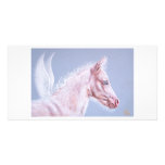 Pinky pegasus foal photo greeting card