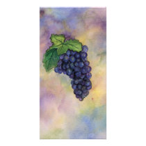 Pinot Noir Wine Grapes Photo Card