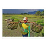 Pinoy1.jpg Post Cards