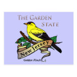 Pinson d'or de garden state de New Jersey Cartes Postales