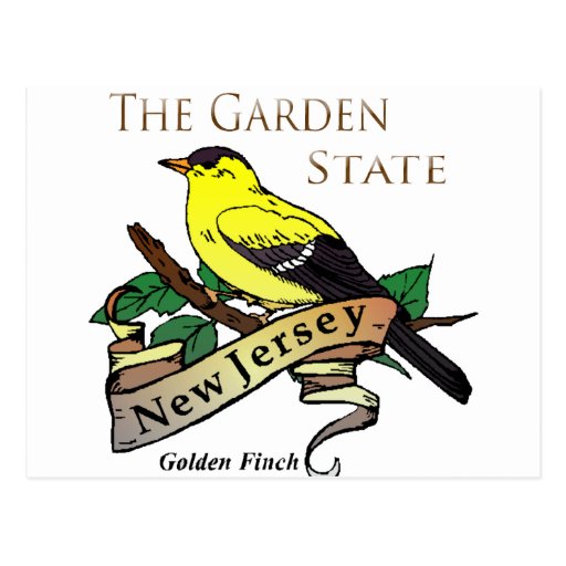 Pinson d'or de garden state de New Jersey Carte Postale