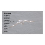 Pintado (Cape) Petrel In Flight Business Card Template