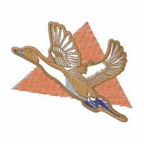 Pintail Duck