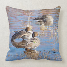 Pintail Ducks American 2 in 1 MoJo Pillow