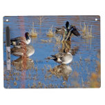Pintail Ducks Dry Erase Board