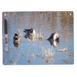 Pintail Ducks Dry Erase Board