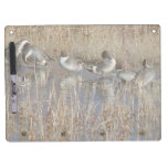 Pintail Ducks Dry Erase Board