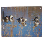 Pintail Ducks Dry Erase Board