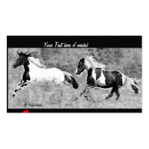 Pinto Bussiness Cards Business Cards