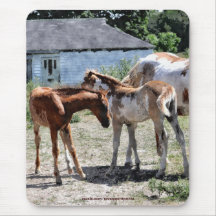 Pinto & Chestnut Foals Horse-lovers Mousepad