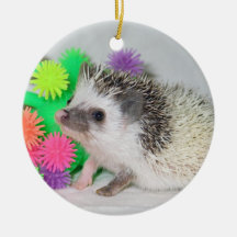 Pinto cutie ornament