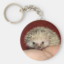 Pinto face hedgehog keychain