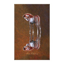 Pinto Foal Reflecting in Lake Water, Animal Art Gallery Wrapped Canvas