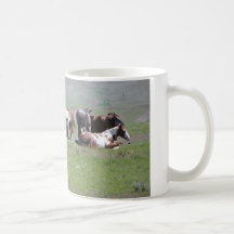 Pinto Herd, South Dakota Coffee Mugs