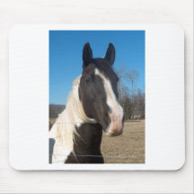 Pinto Horse Mouse Pads